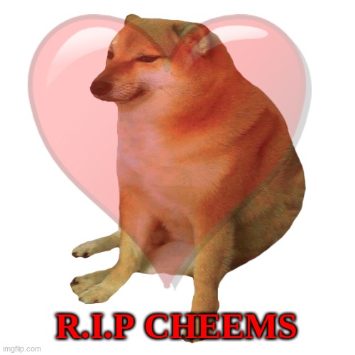 i entered imgflip today and saw memes about the death of Cheems, RIP Cheems | R.I.P CHEEMS | image tagged in cheems | made w/ Imgflip meme maker