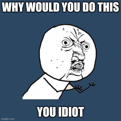 Y U No Meme | WHY WOULD YOU DO THIS; YOU IDIOT | image tagged in memes,y u no | made w/ Imgflip meme maker
