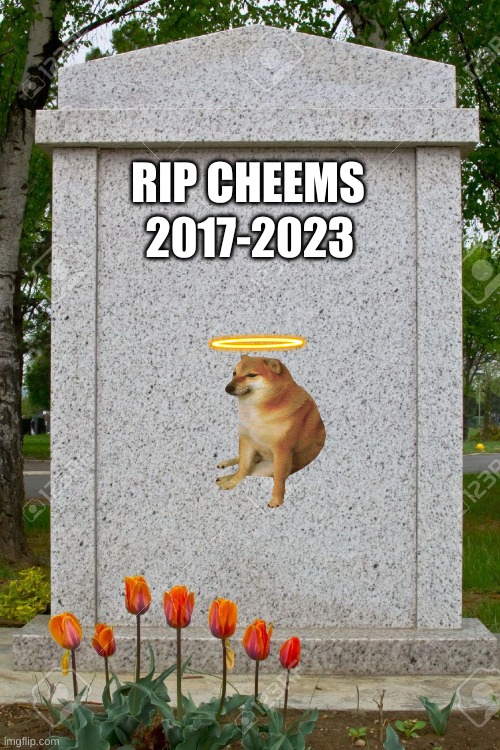 rest in peace cheems :( | 2017-2023; RIP CHEEMS | image tagged in gravestone | made w/ Imgflip meme maker