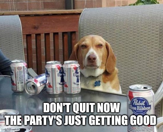 dog beer | DON'T QUIT NOW
THE PARTY'S JUST GETTING GOOD | image tagged in dog beer | made w/ Imgflip meme maker