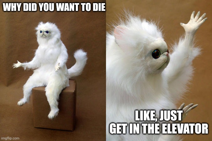 Persian Cat Room Guardian Meme | WHY DID YOU WANT TO DIE LIKE, JUST GET IN THE ELEVATOR | image tagged in memes,persian cat room guardian | made w/ Imgflip meme maker
