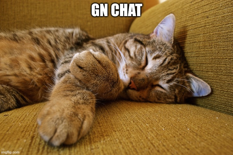 GN CHAT | made w/ Imgflip meme maker