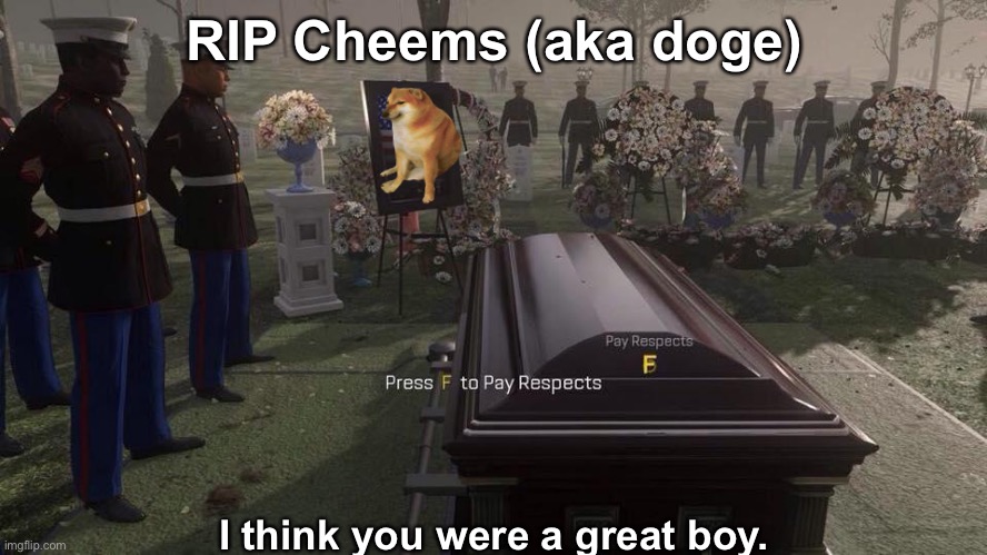 Press F to Pay Respects | RIP Cheems (aka doge); I think you were a great boy. | image tagged in press f to pay respects | made w/ Imgflip meme maker