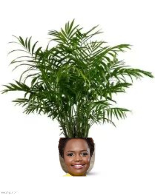 Sideshow Bob, or Potted Plant. Either one works | image tagged in sideshow karine meme | made w/ Imgflip meme maker