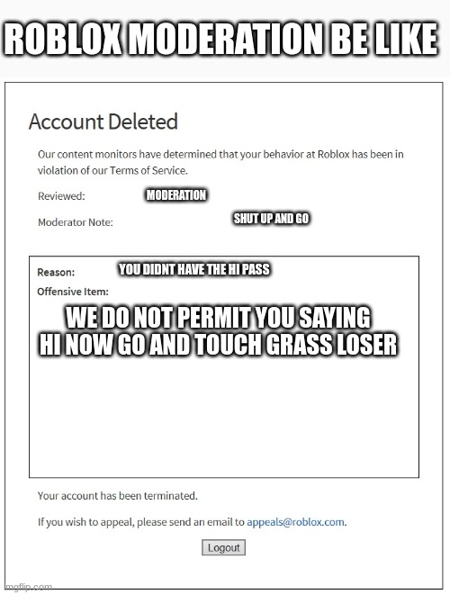 banned from ROBLOX | ROBLOX MODERATION BE LIKE; MODERATION; SHUT UP AND GO; YOU DIDNT HAVE THE HI PASS; WE DO NOT PERMIT YOU SAYING HI NOW GO AND TOUCH GRASS LOSER | image tagged in banned from roblox | made w/ Imgflip meme maker