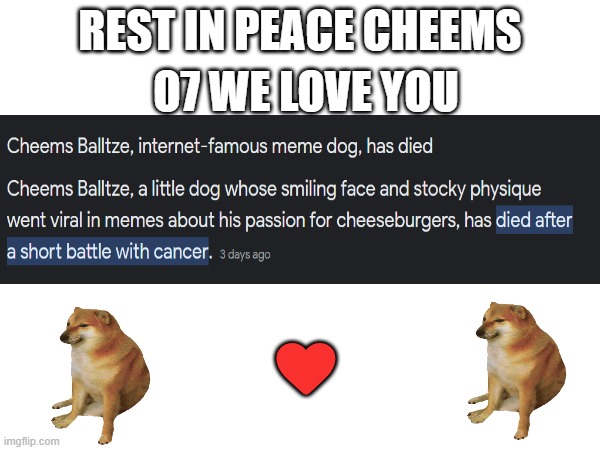 rest in peace cheems :( | O7 WE LOVE YOU; REST IN PEACE CHEEMS; ❤️ | image tagged in sad,rip,cheems | made w/ Imgflip meme maker