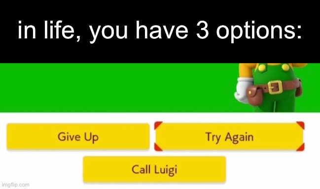 3 options | in life, you have 3 options: | image tagged in luigi,super mario maker,nintendo,gaming,funny,front page plz | made w/ Imgflip meme maker