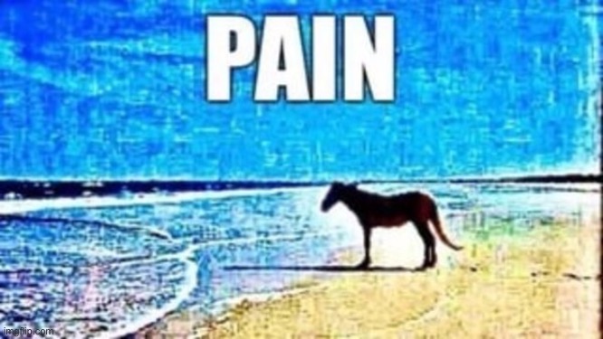 Pain | image tagged in pain | made w/ Imgflip meme maker