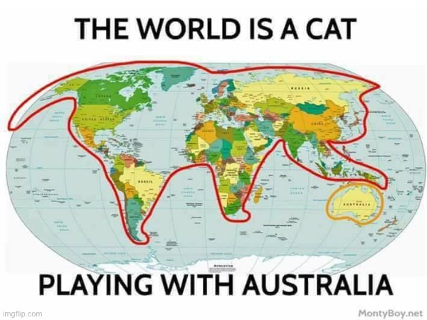 Oh | image tagged in blank white template,cat,world map | made w/ Imgflip meme maker