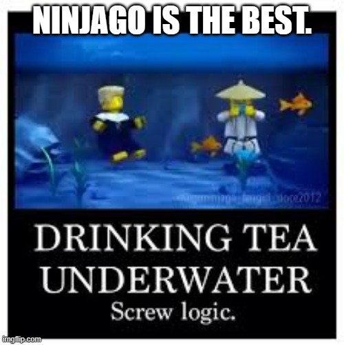 I loved this show. | NINJAGO IS THE BEST. | image tagged in ninjago logic | made w/ Imgflip meme maker