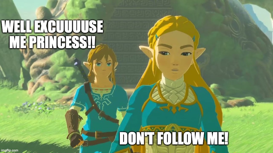 BotW Excuuuuuse me Princess meme | WELL EXCUUUUSE ME PRINCESS!! DON'T FOLLOW ME! | image tagged in excuse me,princess | made w/ Imgflip meme maker