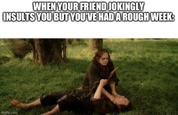 We’ve all felt this | WHEN YOUR FRIEND JOKINGLY INSULTS YOU BUT YOU’VE HAD A ROUGH WEEK: | image tagged in meme,lotr,week | made w/ Imgflip meme maker