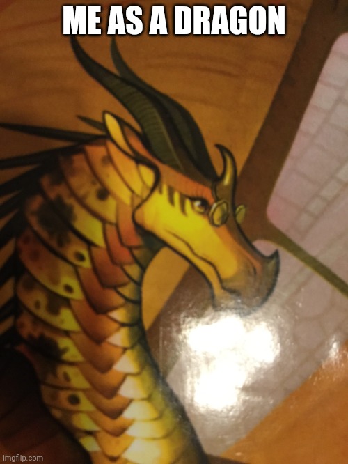 Hi y'all! I'm so sorry I haven't been posting in this stream | ME AS A DRAGON | image tagged in cricket wof,this is me,cricket,wof,yo | made w/ Imgflip meme maker