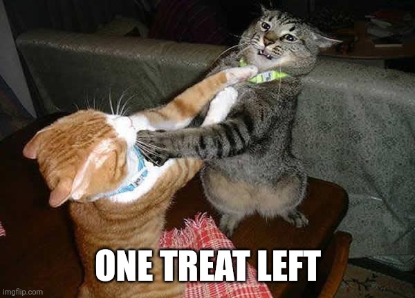 Two cats fighting for real | ONE TREAT LEFT | image tagged in two cats fighting for real | made w/ Imgflip meme maker