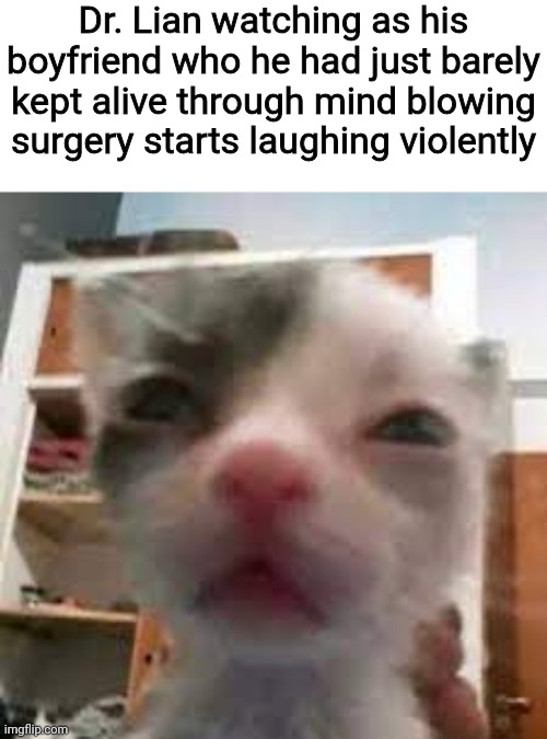 Cat lightskin stare | Dr. Lian watching as his boyfriend who he had just barely kept alive through mind blowing surgery starts laughing violently | image tagged in cat lightskin stare | made w/ Imgflip meme maker
