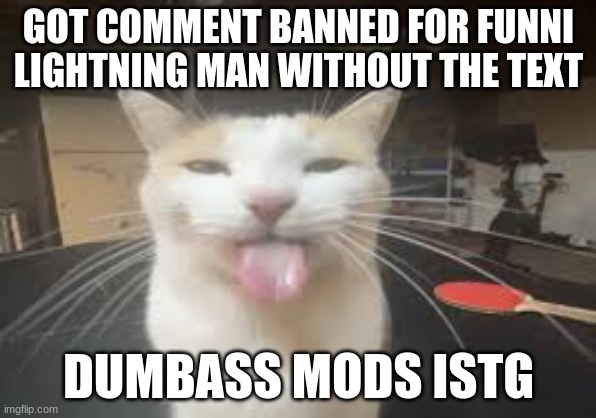 Cat | GOT COMMENT BANNED FOR FUNNI LIGHTNING MAN WITHOUT THE TEXT; DUMBASS MODS ISTG | image tagged in cat | made w/ Imgflip meme maker