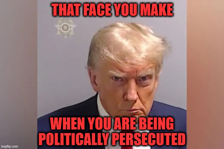 Defiance | THAT FACE YOU MAKE; WHEN YOU ARE BEING POLITICALLY PERSECUTED | image tagged in president trump,trump mugshot | made w/ Imgflip meme maker