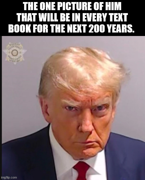 I uploaded it as a template. Trump Mugshot | THE ONE PICTURE OF HIM THAT WILL BE IN EVERY TEXT BOOK FOR THE NEXT 200 YEARS. | image tagged in trump mugshot | made w/ Imgflip meme maker