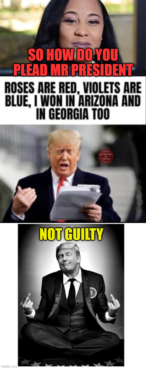 Not Guilty! | SO HOW DO YOU PLEAD MR PRESIDENT; NOT GUILTY | image tagged in crooked,georgia,officer | made w/ Imgflip meme maker