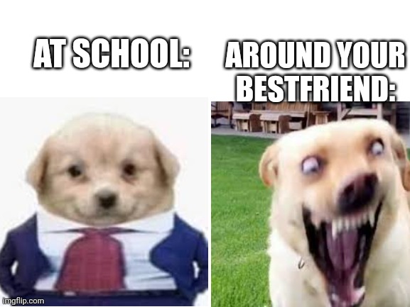Blank White Template | AROUND YOUR BESTFRIEND:; AT SCHOOL: | image tagged in blank white template | made w/ Imgflip meme maker