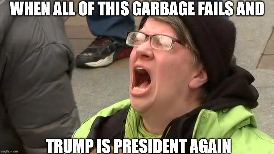 LIB  WHINERS! | WHEN ALL OF THIS GARBAGE FAILS AND; TRUMP IS PRESIDENT AGAIN | image tagged in liberal babies,whine  much,donald trump,president,again | made w/ Imgflip meme maker