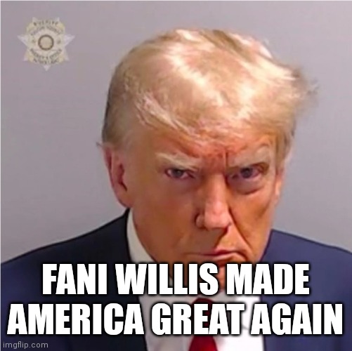 MAGA | FANI WILLIS MADE AMERICA GREAT AGAIN | image tagged in maga,georgia,trump,fani willis | made w/ Imgflip meme maker