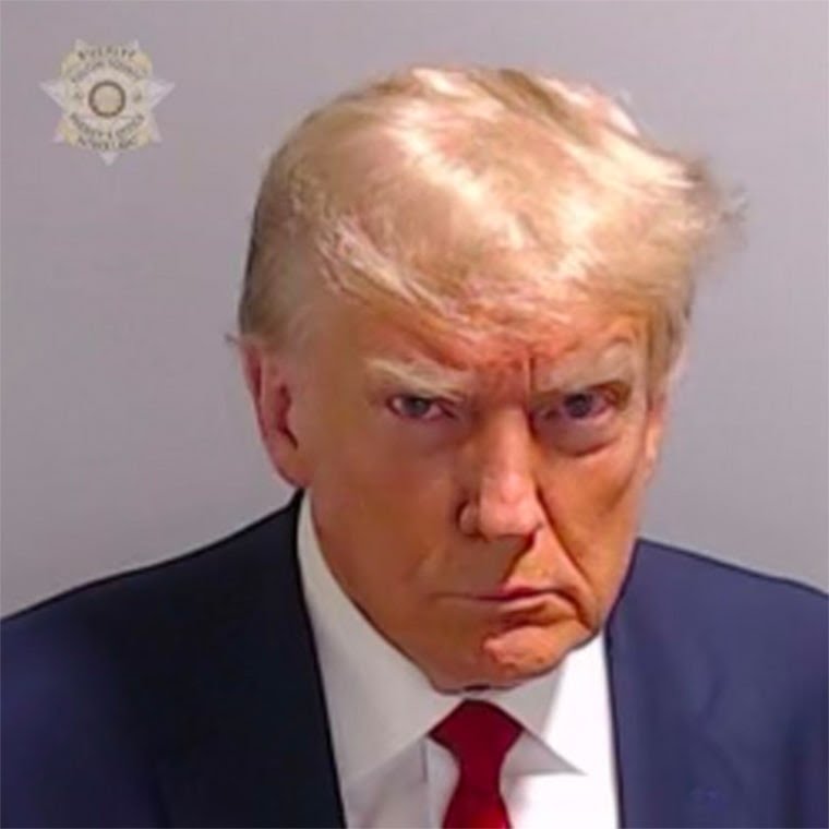 Trump Mugshot Blank Meme Template