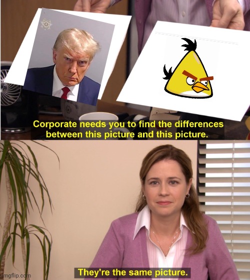 Donald Trump Mugshot Angry Bird | image tagged in memes,they're the same picture | made w/ Imgflip meme maker