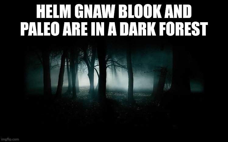 Goofy Ahh rp.mp3 | HELM GNAW BLOOK AND PALEO ARE IN A DARK FOREST | image tagged in dark forest | made w/ Imgflip meme maker