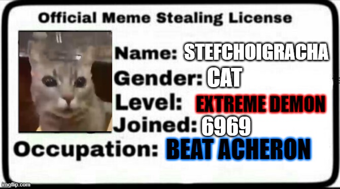 Meme Stealing License | STEFCHOIGRACHA; CAT; EXTREME DEMON; 6969; BEAT ACHERON | image tagged in meme stealing license | made w/ Imgflip meme maker