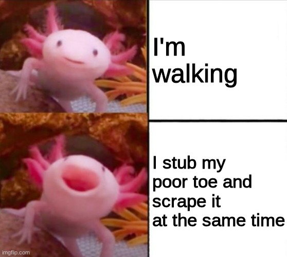 MY TOE | I'm walking; I stub my poor toe and scrape it at the same time | image tagged in axolotl drake | made w/ Imgflip meme maker