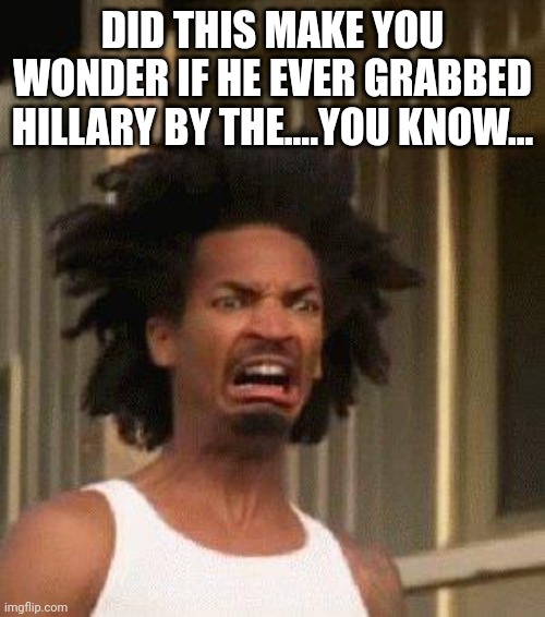 Disgusted Face | DID THIS MAKE YOU WONDER IF HE EVER GRABBED HILLARY BY THE....YOU KNOW... | image tagged in disgusted face | made w/ Imgflip meme maker