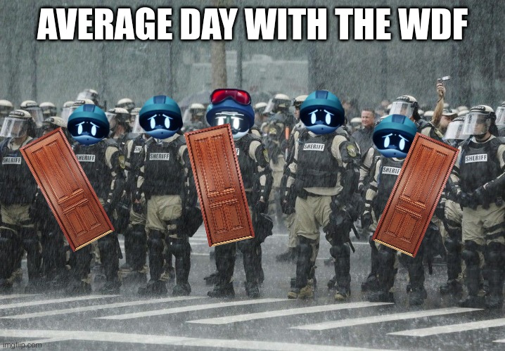 i found this on the MD tag so I decided to recreate it cuz i have nothing better to do | AVERAGE DAY WITH THE WDF | image tagged in riot police rain storm | made w/ Imgflip meme maker