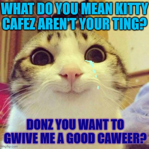 Please let the kitty pay for kitty colwege! | WHAT DO YOU MEAN KITTY CAFEZ AREN'T YOUR TING? DONZ YOU WANT TO GWIVE ME A GOOD CAWEER? | image tagged in memes,smiling cat,kitty cafes,kitty career,pipe dreams | made w/ Imgflip meme maker