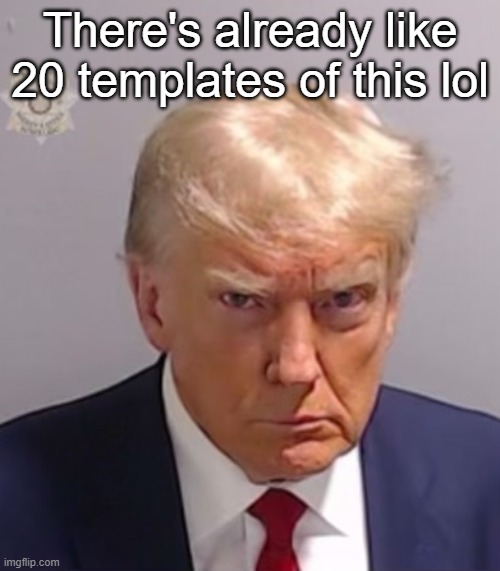 Donald Trump Mugshot | There's already like 20 templates of this lol | image tagged in donald trump mugshot | made w/ Imgflip meme maker