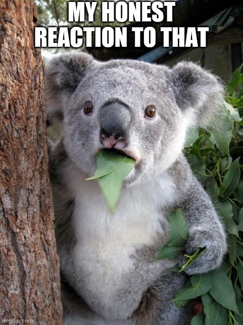 Frfrfrfrfrfrfrfr lol | MY HONEST REACTION TO THAT | image tagged in memes,surprised koala,lol | made w/ Imgflip meme maker