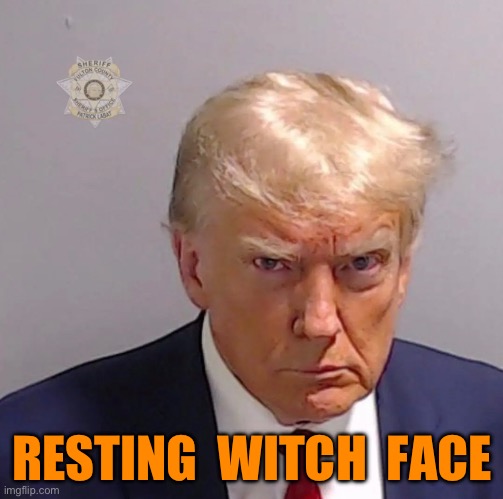 RESTING WITCH FACE | RESTING  WITCH  FACE | image tagged in mug shot,trump,jail,willis | made w/ Imgflip meme maker