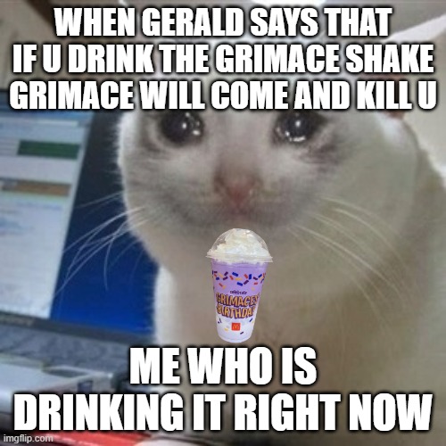 Crying cat | WHEN GERALD SAYS THAT IF U DRINK THE GRIMACE SHAKE GRIMACE WILL COME AND KILL U; ME WHO IS DRINKING IT RIGHT NOW | image tagged in crying cat | made w/ Imgflip meme maker