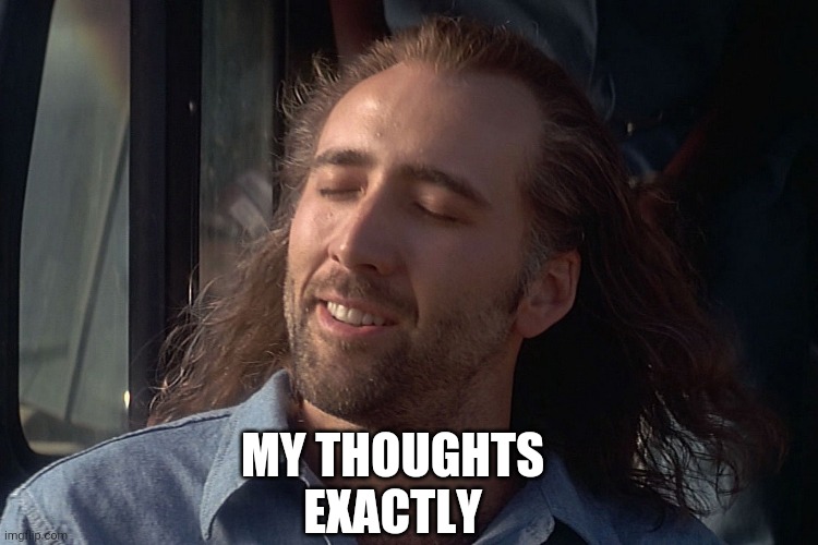 nicholas cage wind in hair | MY THOUGHTS EXACTLY | image tagged in nicholas cage wind in hair | made w/ Imgflip meme maker