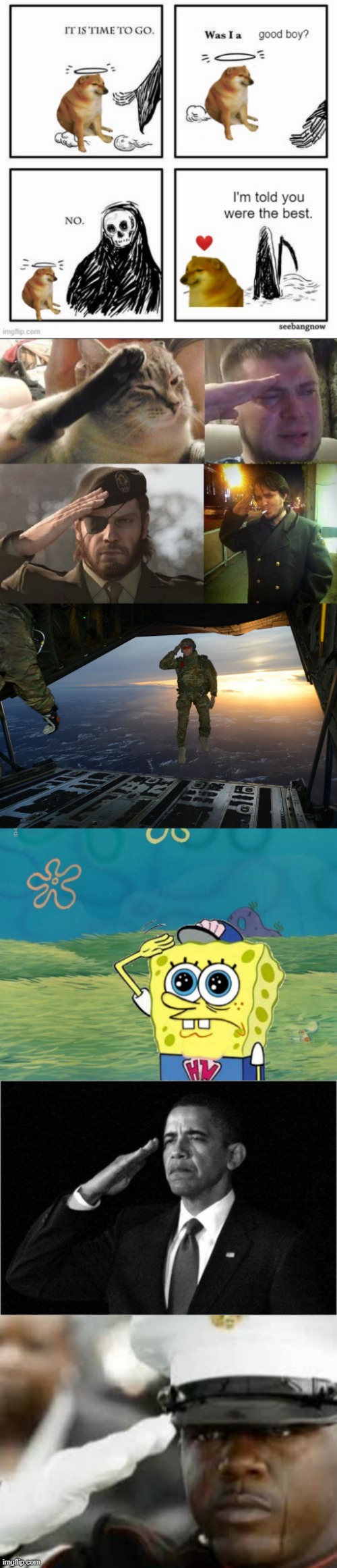 Cheems (aka Balltze) 2011-2023(no clout please, this is for Cheems. RIP to the good boi) | image tagged in ozon's salute,army soldier jumping out of plane,spongebob salute,obama-salute,sad salute | made w/ Imgflip meme maker