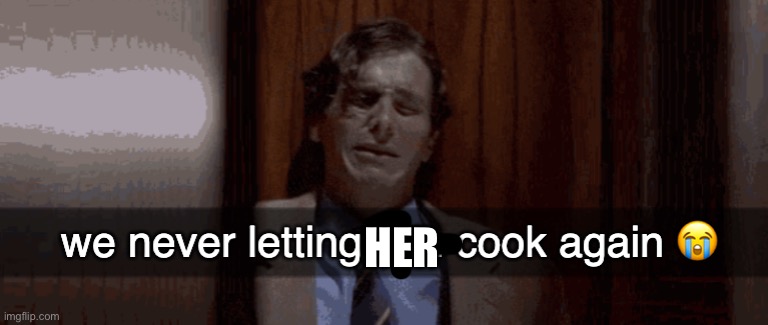 we never letting him cook again | HER | image tagged in we never letting him cook again | made w/ Imgflip meme maker