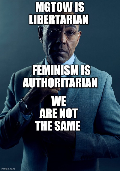 Gus Fring we are not the same | MGTOW IS LIBERTARIAN; FEMINISM IS AUTHORITARIAN; WE ARE NOT THE SAME | image tagged in gus fring we are not the same | made w/ Imgflip meme maker