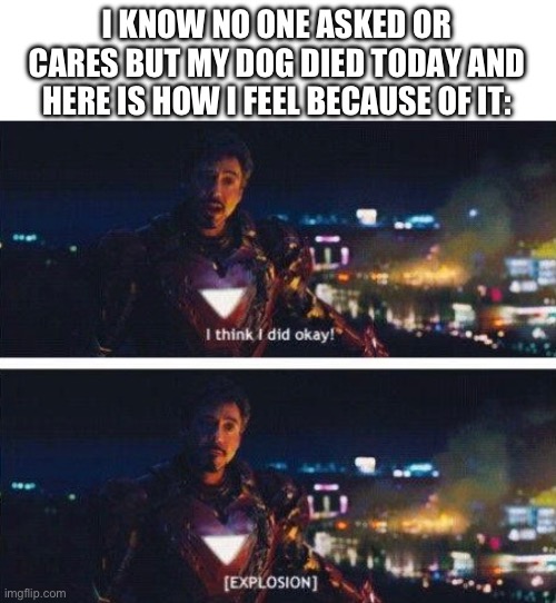 Still waiting for a mental breakdown to occur | I KNOW NO ONE ASKED OR CARES BUT MY DOG DIED TODAY AND HERE IS HOW I FEEL BECAUSE OF IT: | made w/ Imgflip meme maker