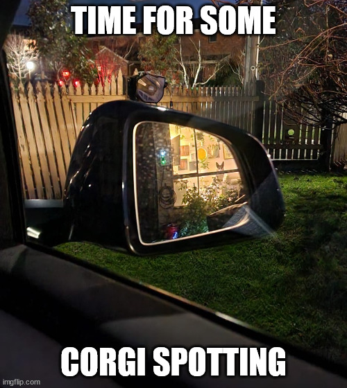 Lando Spotting | TIME FOR SOME; CORGI SPOTTING | image tagged in lando on watch,funny dogs | made w/ Imgflip meme maker