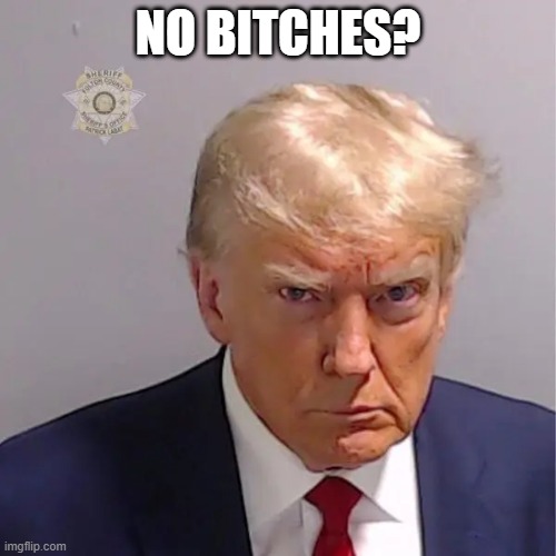 DT No Bitches? | NO BITCHES? | image tagged in donald trump,mugshot,no bitches | made w/ Imgflip meme maker