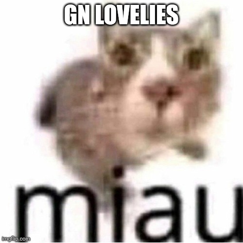 miau | GN LOVELIES | image tagged in miau,lovelies,question mark | made w/ Imgflip meme maker