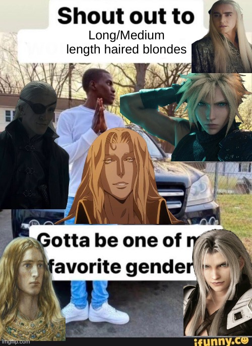 Fav Gender | Long/Medium length haired blondes | image tagged in gotta be one of my favorite genders | made w/ Imgflip meme maker