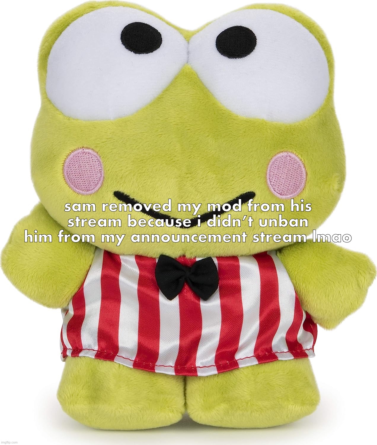 keroppi plush | sam removed my mod from his stream because i didn’t unban him from my announcement stream lmao | made w/ Imgflip meme maker