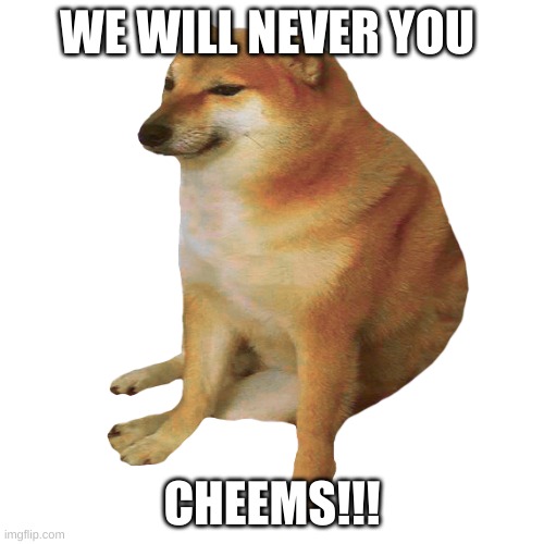 rest in peace cheems | WE WILL NEVER YOU; CHEEMS!!! | image tagged in cheems | made w/ Imgflip meme maker