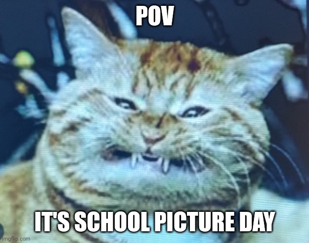 Cheems (aka Balltze) 2011-2023(no clout please, this is for Cheems. RIP to the good boi) | POV; IT'S SCHOOL PICTURE DAY | image tagged in toothy cat | made w/ Imgflip meme maker